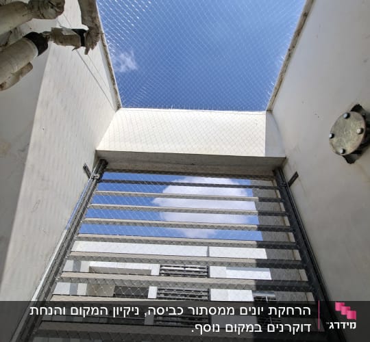 רשת יונים מותקנת על פתח גג עם שמיים כחולים